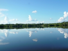 Laguna Pañancocha